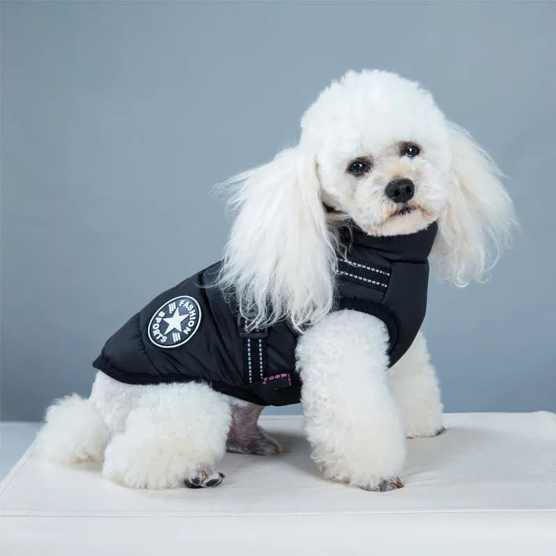 Red waterproof dog coat with built-in harness on a large dog, showing warm lining and sizing for winter.