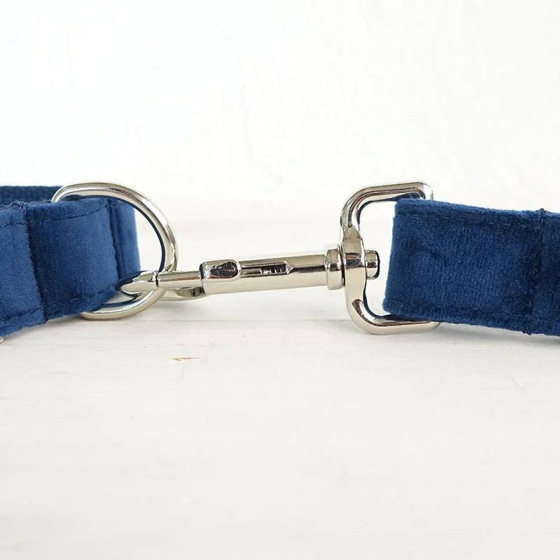 Dark blue velvet pet collar with optional bow tie and leash