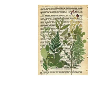 Herbarium Series DIY Plant Stickers pack featuring vibrant plant designs for creative projects