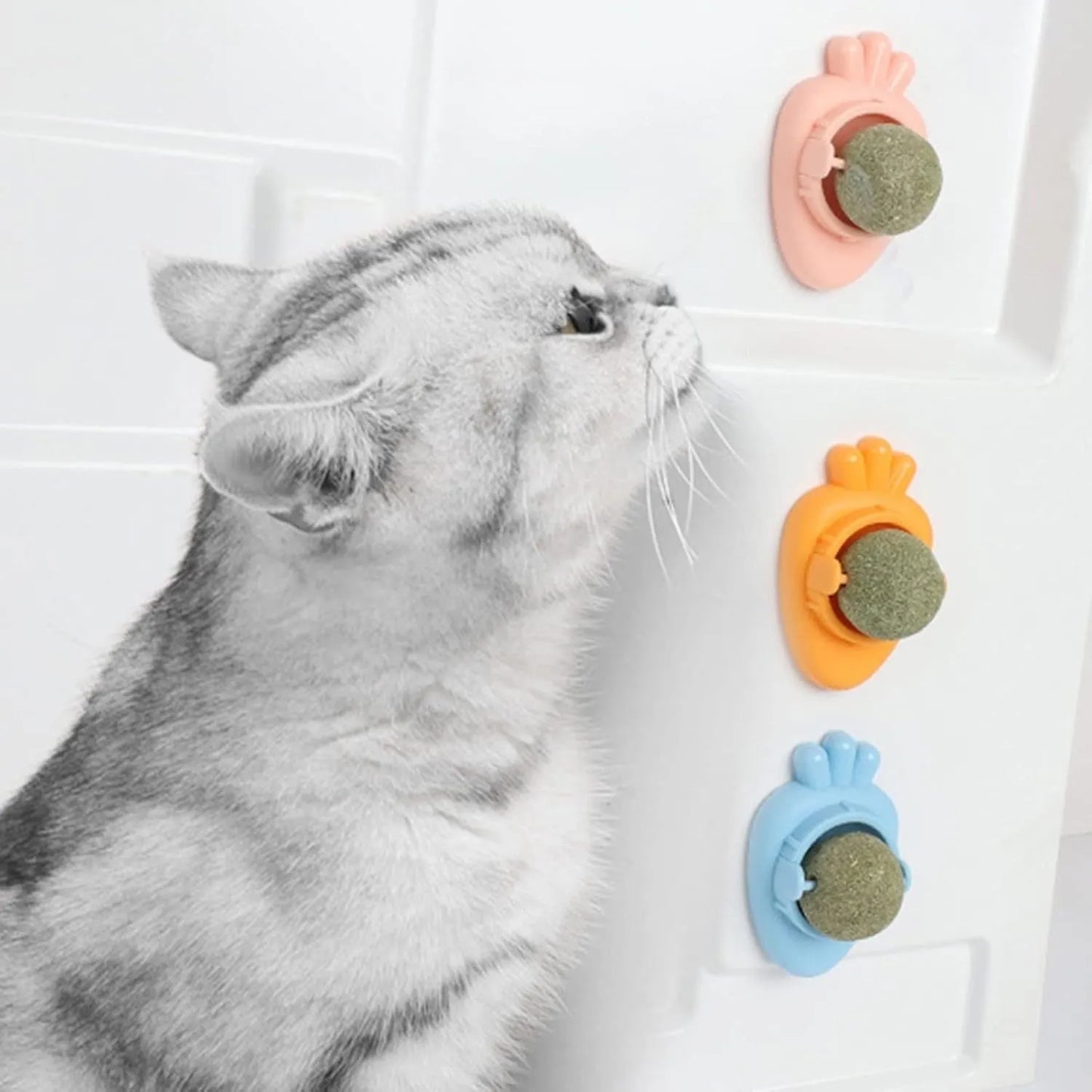 Four blue carrot-shaped catnip balls with adhesive backs and clear covers on a white wall
