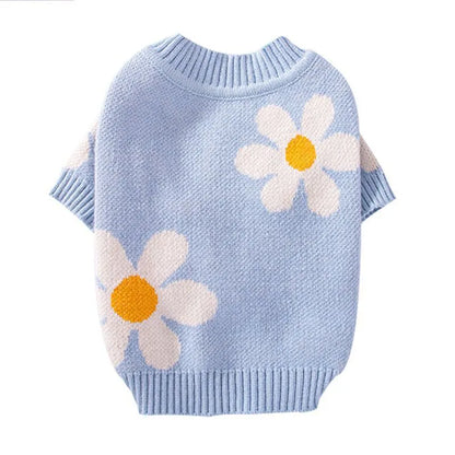 Blue and checkerboard patterned dog coats for small breeds on a white background.