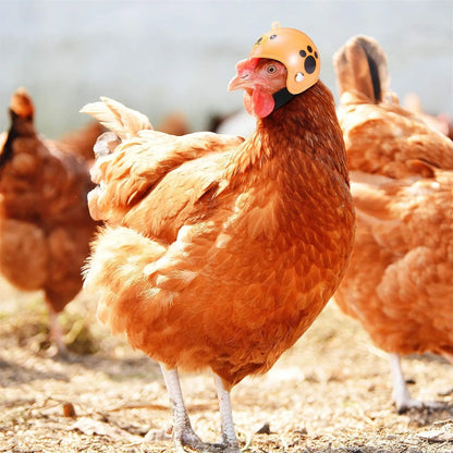 Small hard plastic helmet with elastic straps and sponge lining, designed for a chicken or bird to wear.