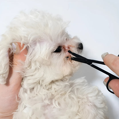 Black dual-head pet grooming brush with soft bristles and a comb for dogs and cats