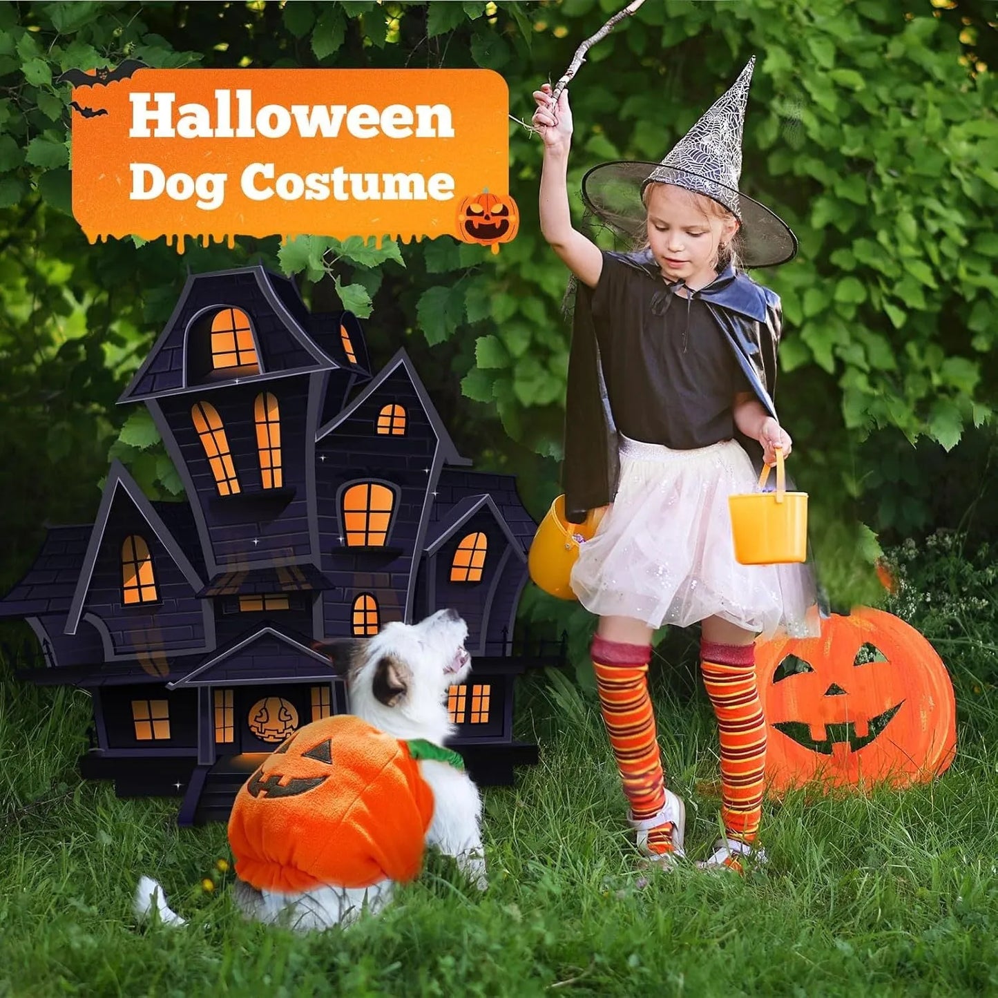Orange plush pumpkin costume on small dog with pullover design and soft lining