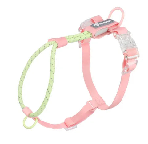 Solid colour PVC dog hand holding rope leash in dark red purple yellow showing collar attachment.