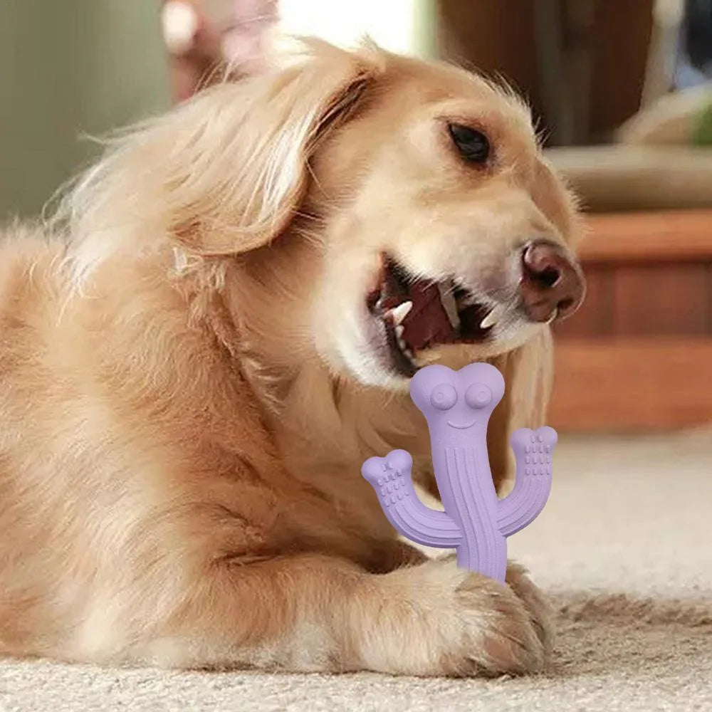 Beige, blue or purple cactus-shaped dog chew toy made from bamboo fibre and rubber on a white background.