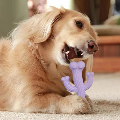 Beige, blue or purple cactus-shaped dog chew toy made from bamboo fibre and rubber on a white background.
