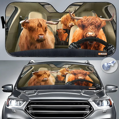 Telescopic aluminium foil car sun shield extended on a front car windshield.