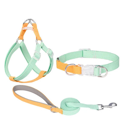 Polyester ribbon dog collar and lead set with chest strap in assorted colours.