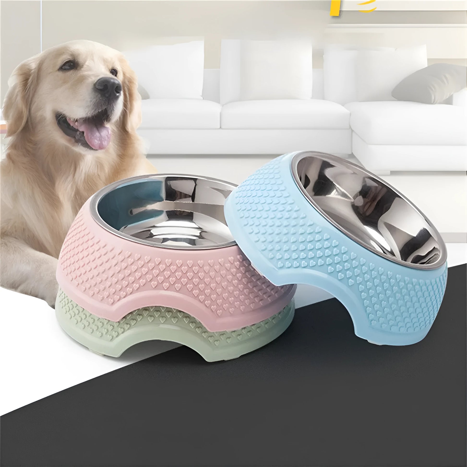 Set of four stainless steel pet bowls with non-slip bases in blue, green, and pink colours.