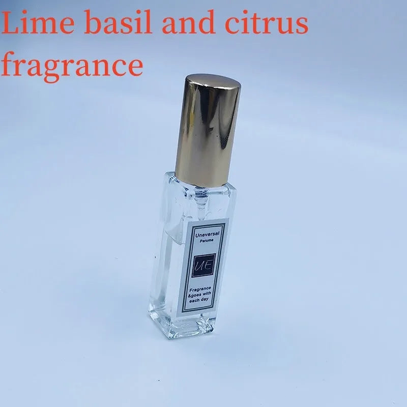 Car aromatherapy fragrant stone pendant with essential oil bottle on gift box