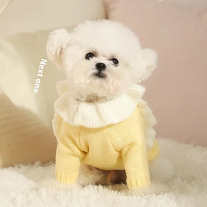 Yellow acrylic knit dog sweater on a small dog, showing casual style and fit.