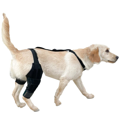Adjustable neoprene dog hind leg support brace for hip dysplasia and arthritis.