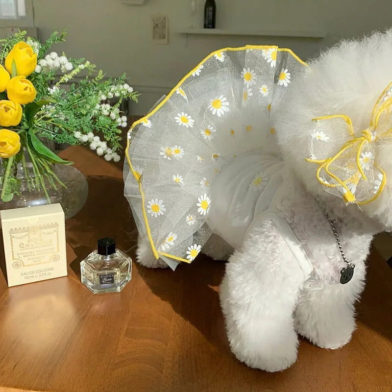 Yellow little daisy pattern summer dog clothes in polyester fabric for small dogs