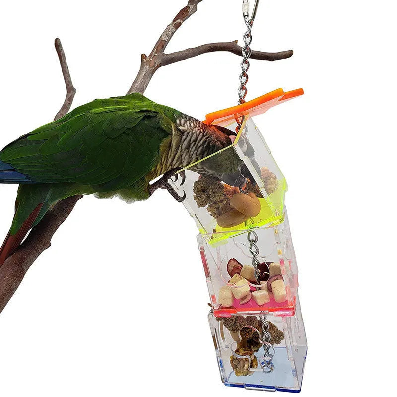 Transparent acrylic bird foraging toy with dimensions 5 cm by 5 cm by 32 cm.