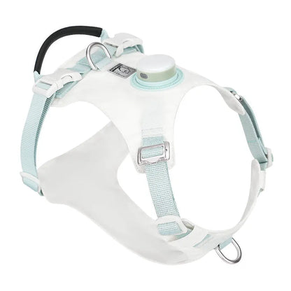 Adjustable dog chest harness with integrated LED safety light in multiple colour options