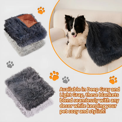 Light grey double-layer velvet plush pet blanket folded on a sofa next to a dog.