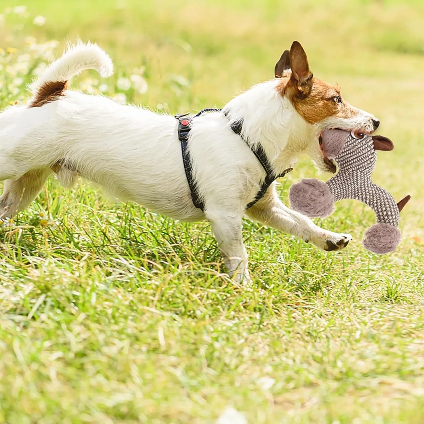Plush squeaky dog toy in monkey or puppy design for medium large dogs
