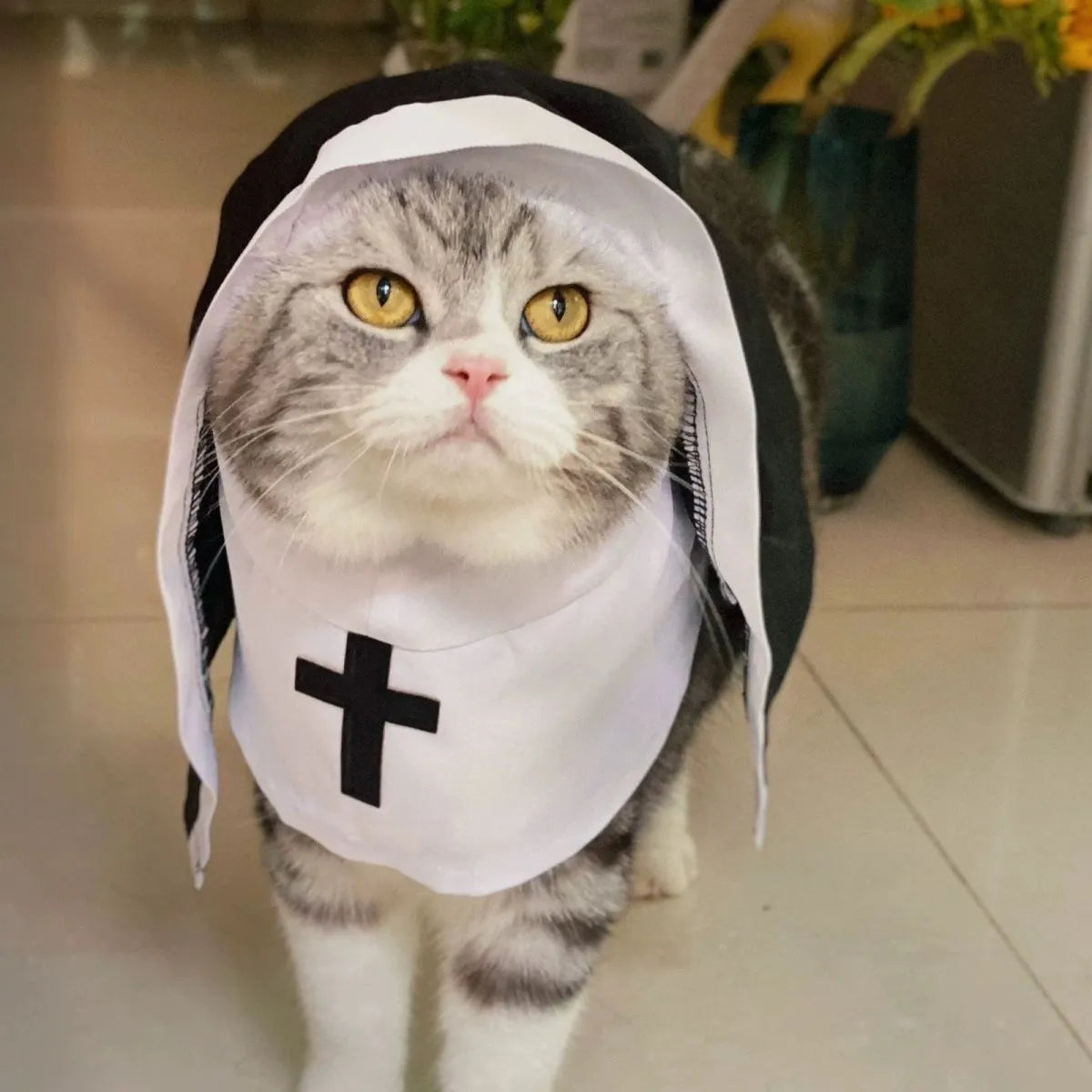 Black and white nun costume cloak for a small dog on a Halloween backdrop.