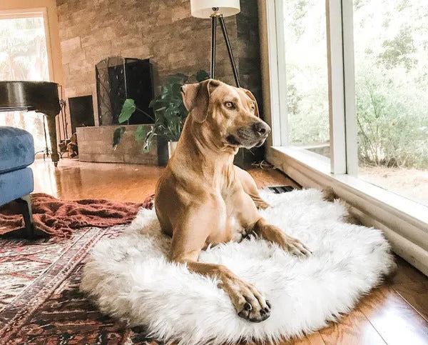 Beige plush dog mat cushion bed for large dogs, showing soft fabric texture and raised height.