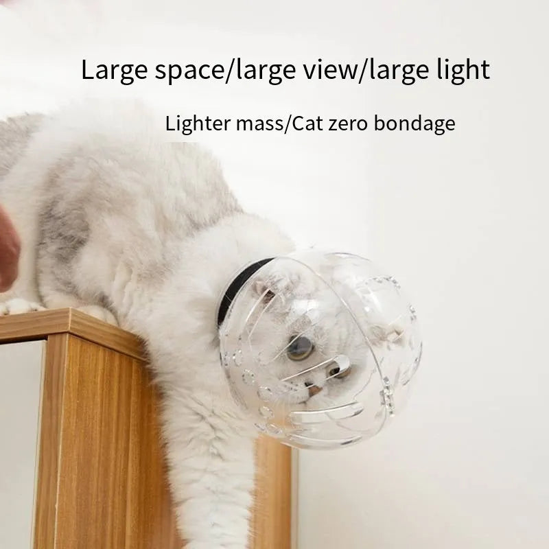 Transparent cat protective hood with adjustable Velcro straps in three sizes for grooming and post-surgery care