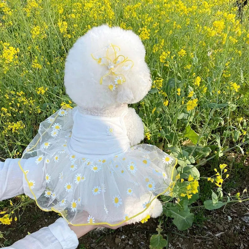 Yellow little daisy pattern summer dog clothes in polyester fabric for small dogs