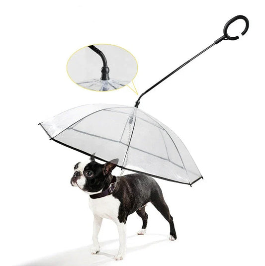 Adjustable transparent pet umbrella with comfortable C-shaped handle and durable PVC and glass fibre construction