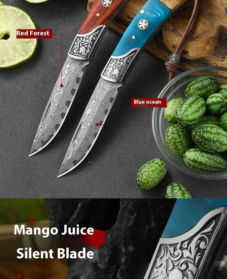 VG10 stainless steel folding portable outdoor knife showing folding mechanism