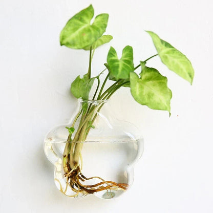 Wall-mounted glass flower vase and terrarium with various design options for customization and decoration