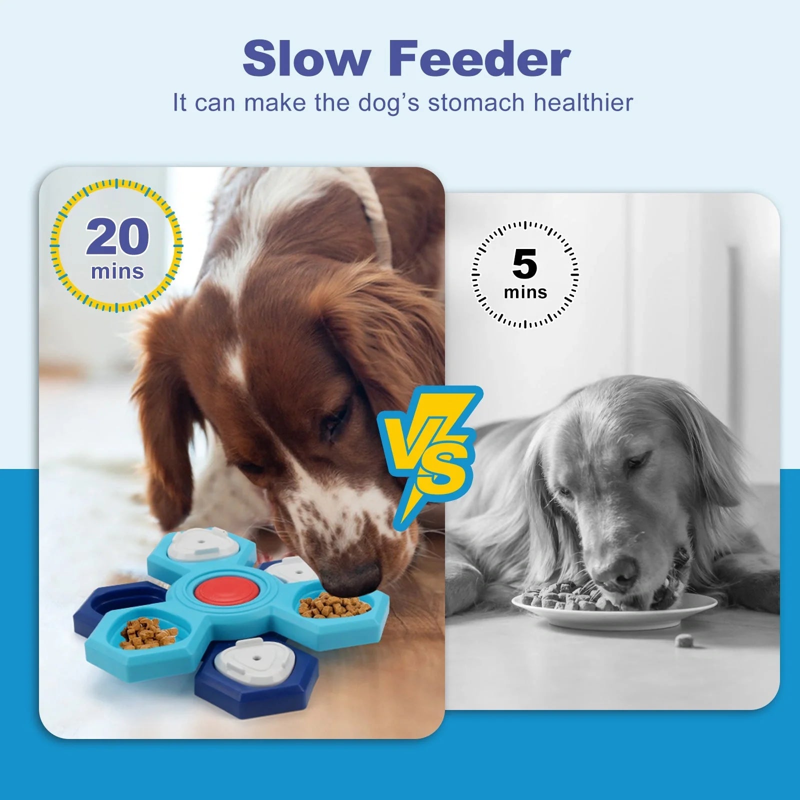 Blue 4-layer slow feeder puzzle dog bowl for mental stimulation and digestion
