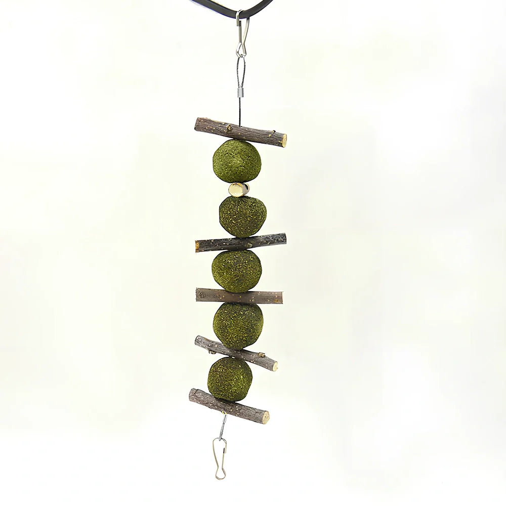 Natural dental chew set with grass balls and apple branches for small pet tooth care