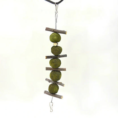 Natural dental chew set with grass balls and apple branches for small pet tooth care