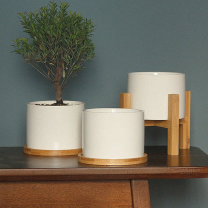 White ceramic flower pot with bamboo tray support for succulents and green plants