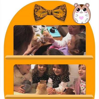 15cm talking hamster plush toy with repeat function in light brown, dark brown, and grey