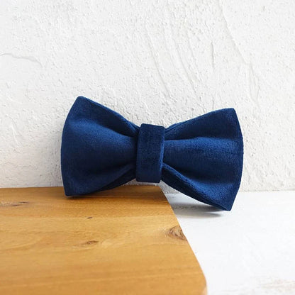 Dark blue velvet pet collar with optional bow tie and leash