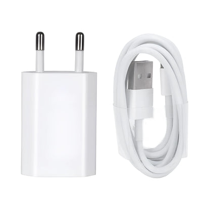 White 5V 2A USB wall charger and white Lightning cable for iPhone and iPad on a grey background
