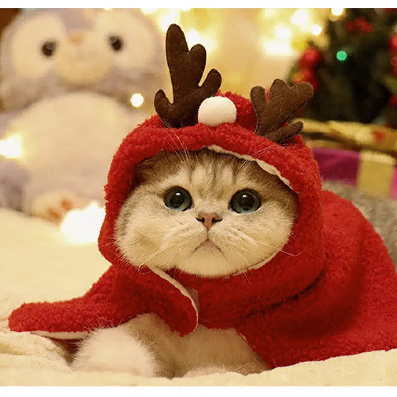 Red antlers polar fleece pet cloak on small dog with winter costume design
