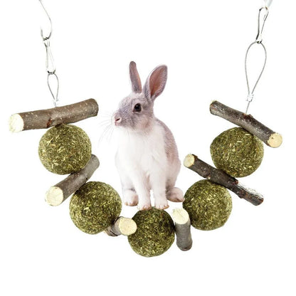 Natural dental chew set with grass balls and apple branches for small pet tooth care