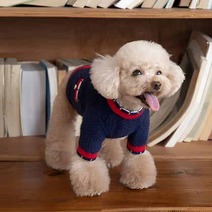 Blue wool knitted dog cardigan sweater with classic princess style design shown on mannequin