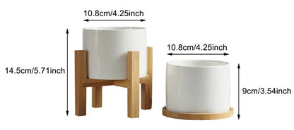 White ceramic flower pot with bamboo tray support for succulents and green plants