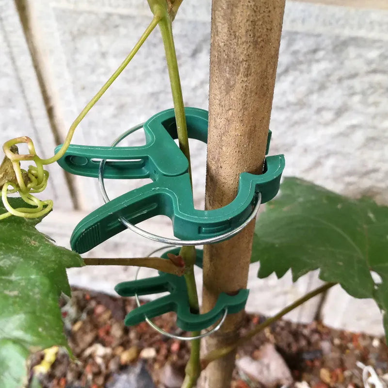 20 pack mixed size green eco plastic plant fixing clips for garden climbing plants