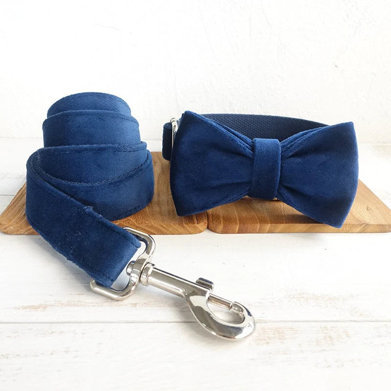 Dark blue velvet pet collar with optional bow tie and leash