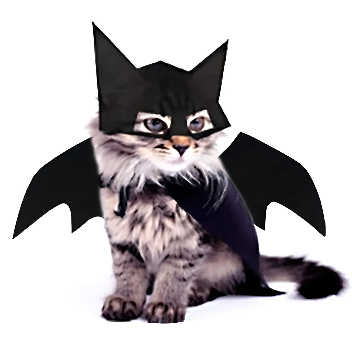 Halloween pet mask and bat wings corset in cloth, adjustable neck 25-35cm, sizes S M L