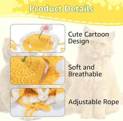 Green knitted cat hat with cartoon face on a kitten, showing S/M sizing for small pets.