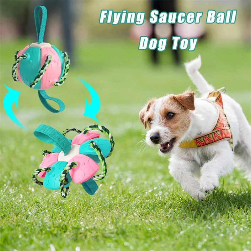 Versatile Frisbee-style dog toy with a unique shape-shifting design that transforms from a sphere to a flat Frisbee mid-flight, providing endless entertainment and exercise for your furry friend.