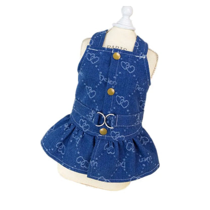 Teddy Bichon wearing denim princess dress in spring setting