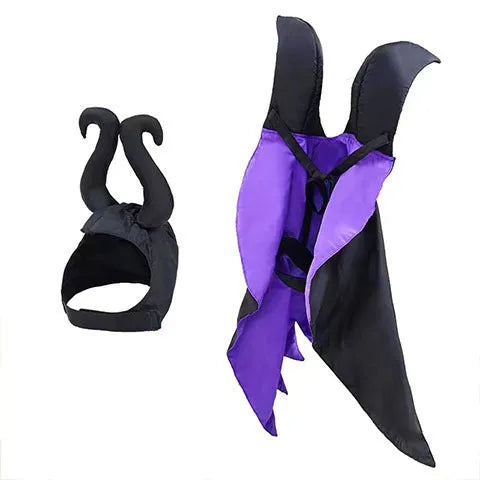 Red Halloween bat costume cloak and pointed hat on a small dog