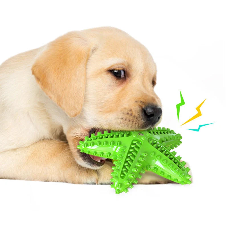 Starfish Vocal Pet Dog Toy Molar Stick in lake blue, yellow, and green