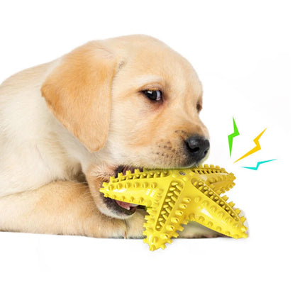 Starfish Vocal Pet Dog Toy Molar Stick in lake blue, yellow, and green