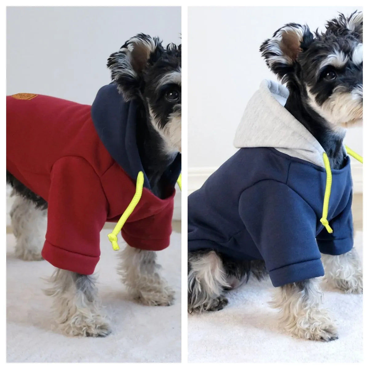 Simple dark red polyester dog hoodie with contrast colour detail, shown on a medium-sized dog.